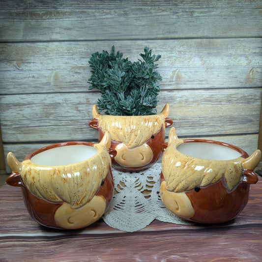Highland Cow planter