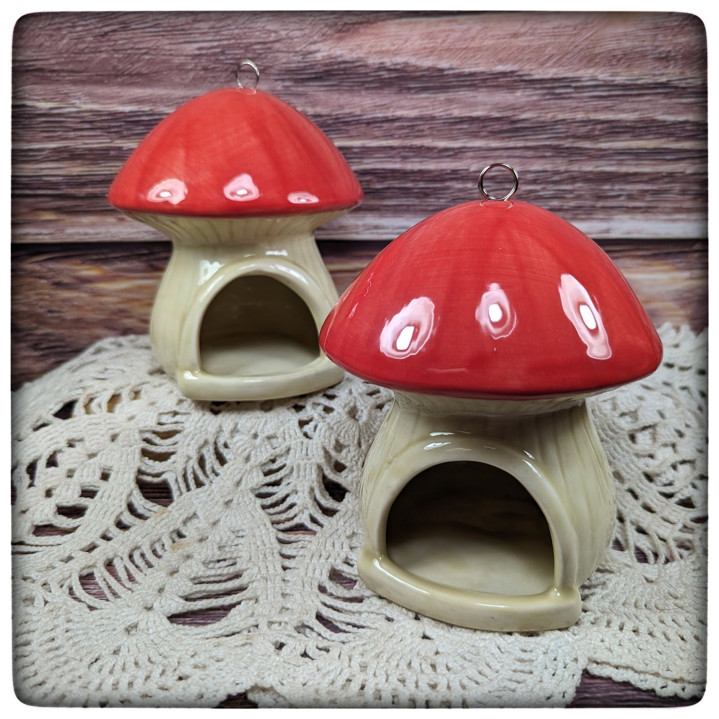 Birdfeeder (mushroom)