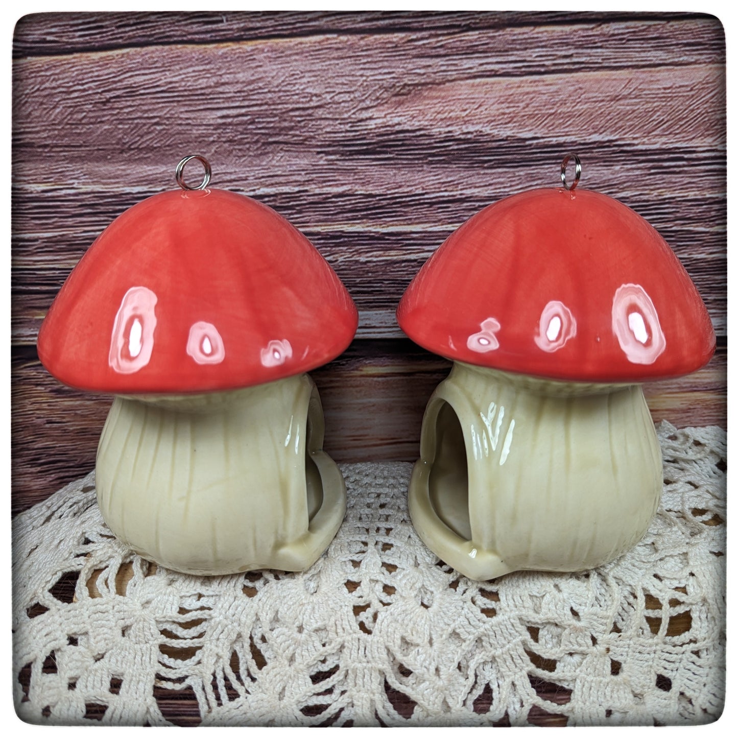 Birdfeeder (mushroom)