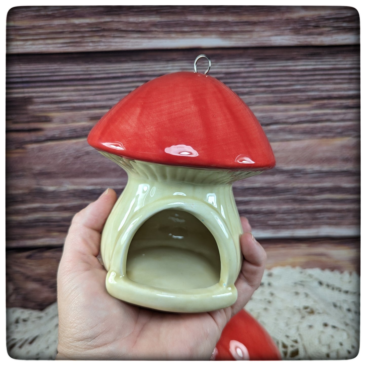 Birdfeeder (mushroom)