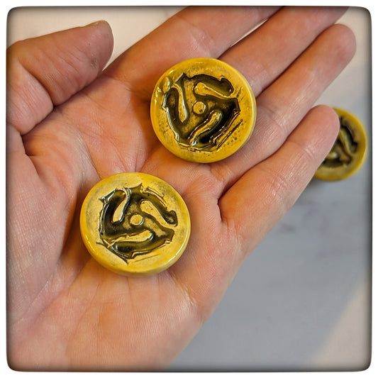 Album adapter magnet