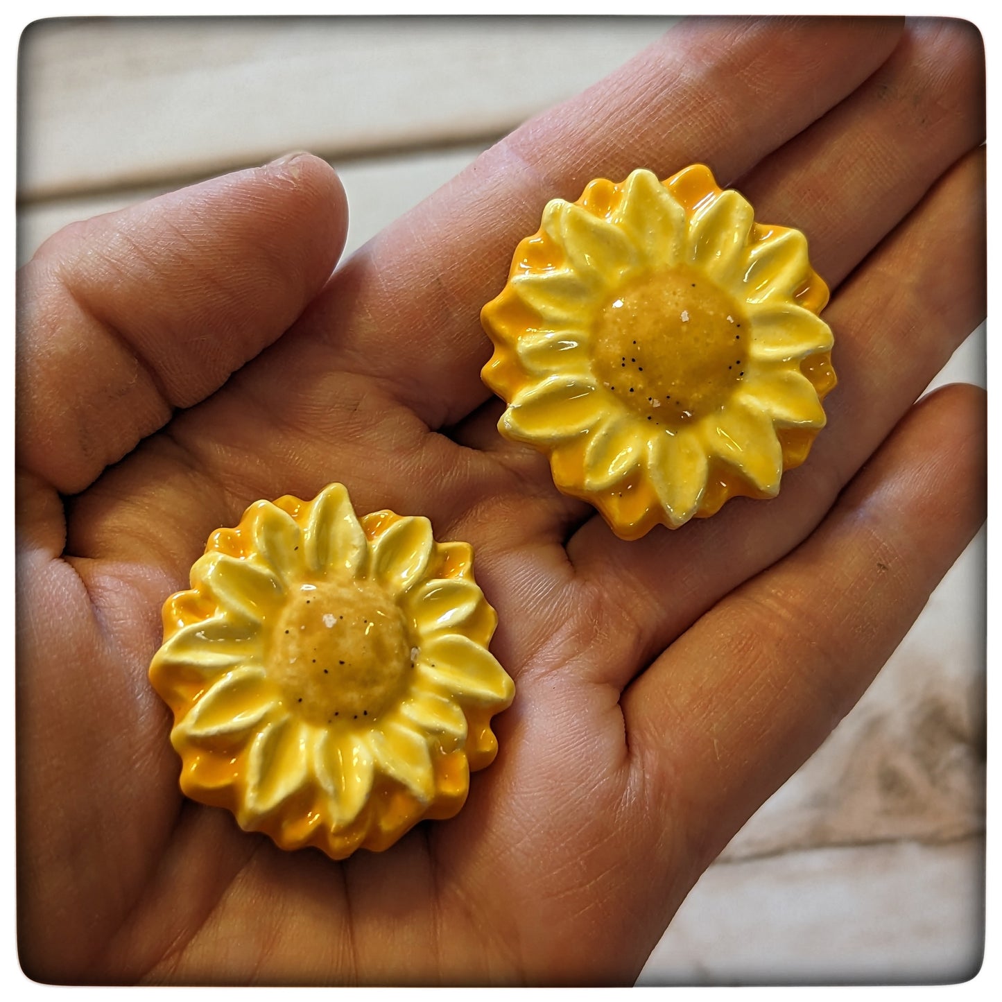 Sunflower magnet