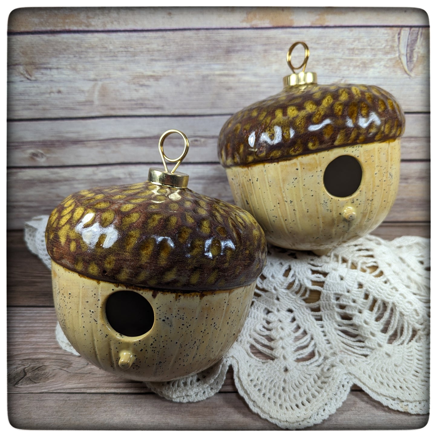 Bird House (acorn)