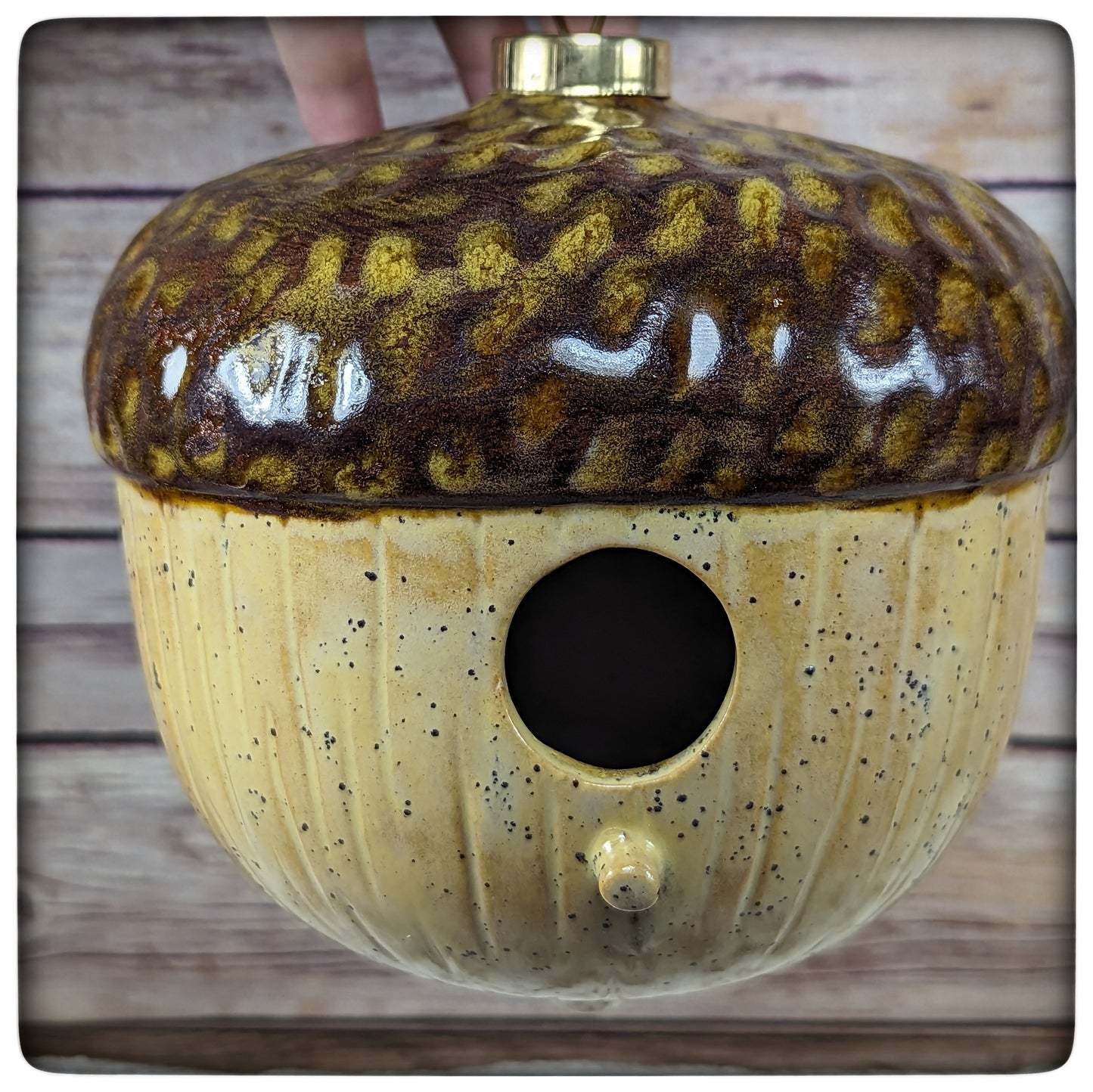 Bird House (acorn)