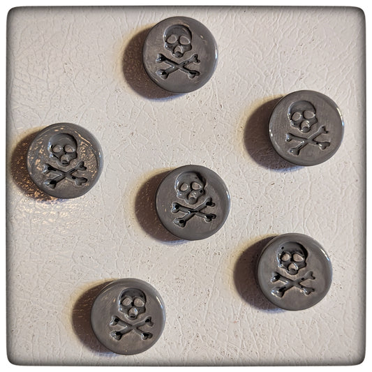 Skull & Crossbones magnet