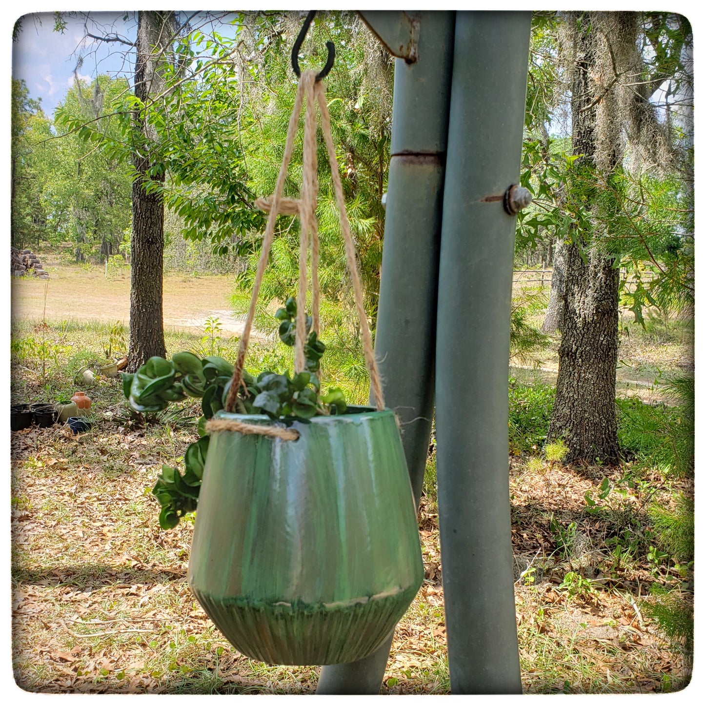 Hanging planter