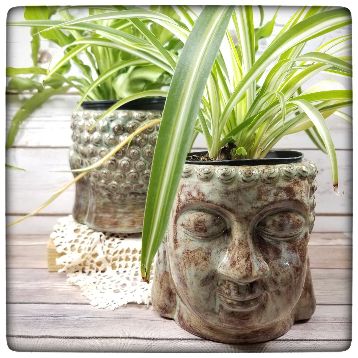 Buddha planter