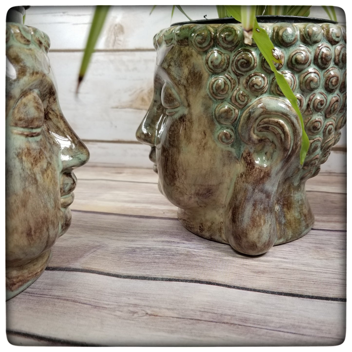 Buddha planter