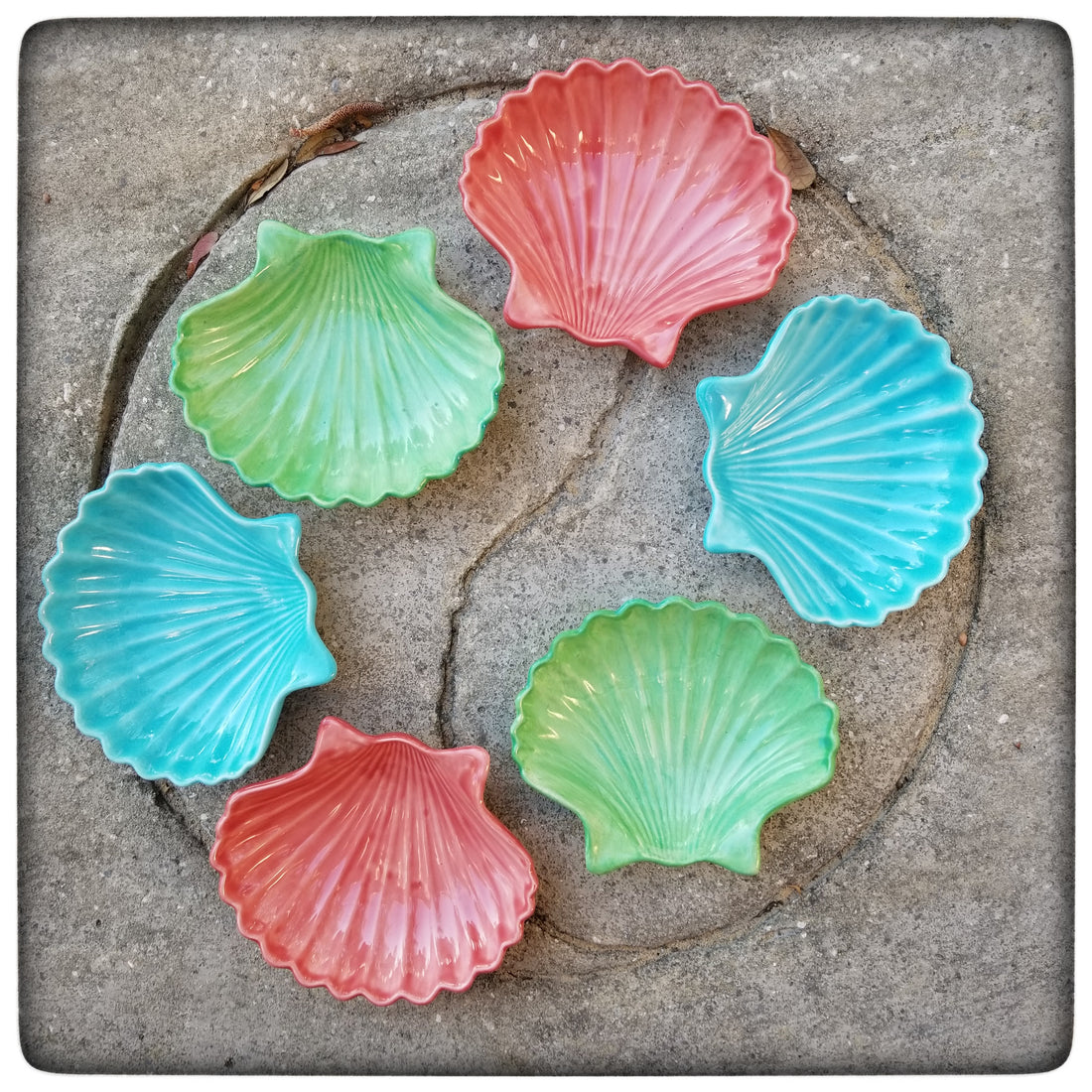 Both restocked and new in the shop: Shell Soap Dishes