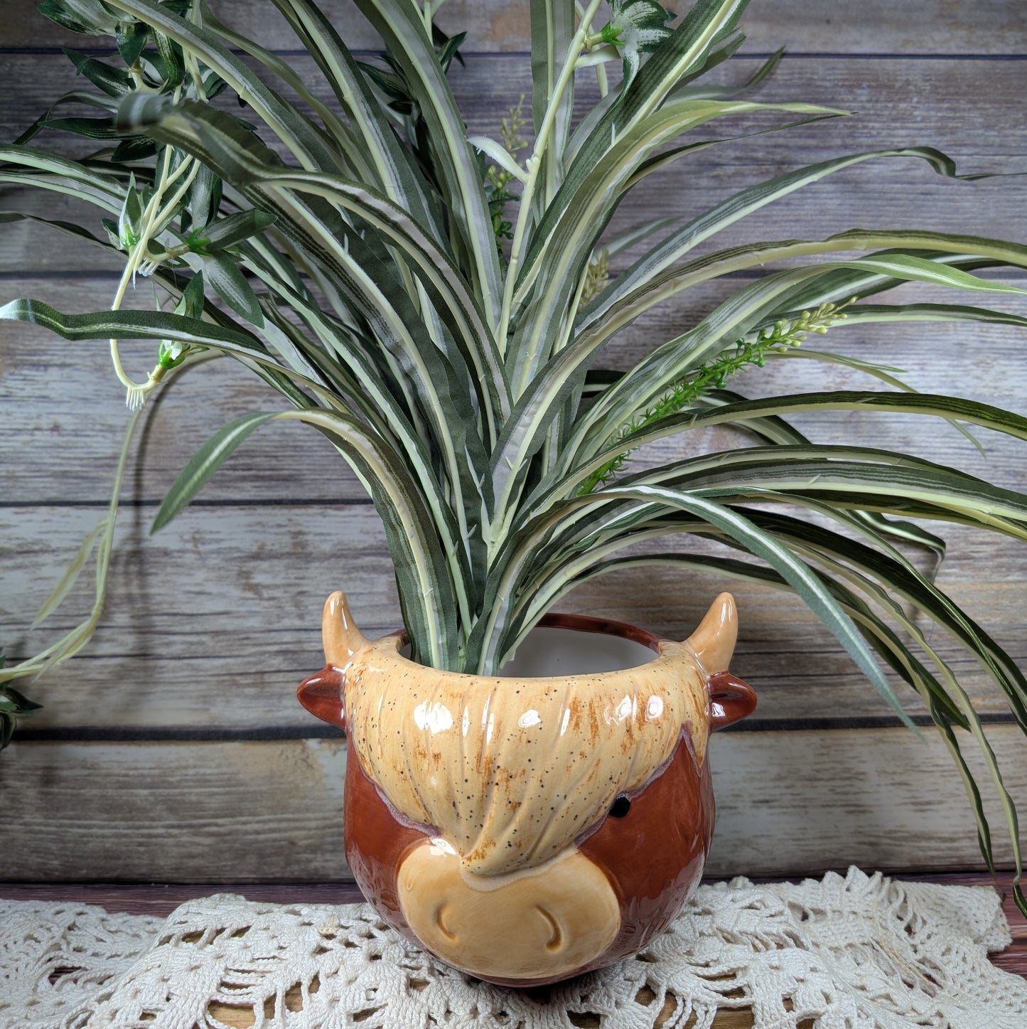 Highland Cow planter