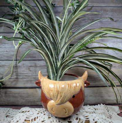 Highland Cow planter