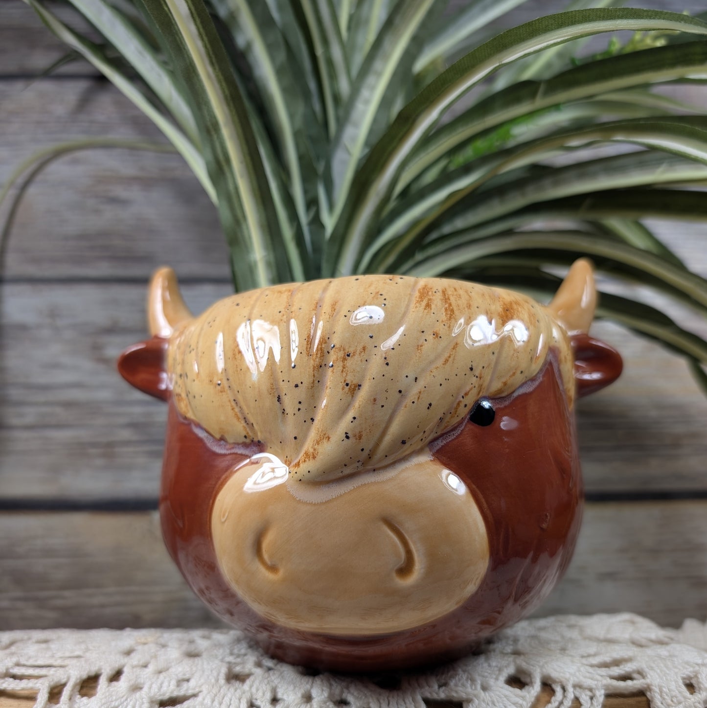 Highland Cow planter