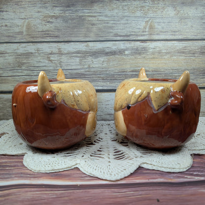 Highland Cow planter