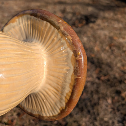 Garden mushroom (7-inch)