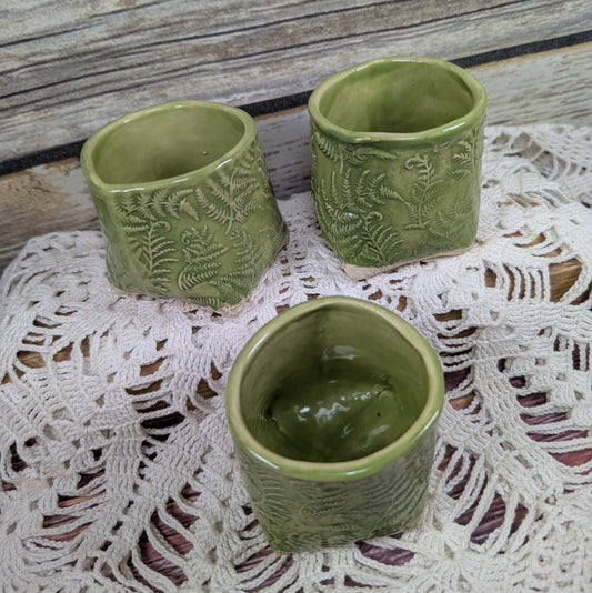 Ferny 5-ounce cup