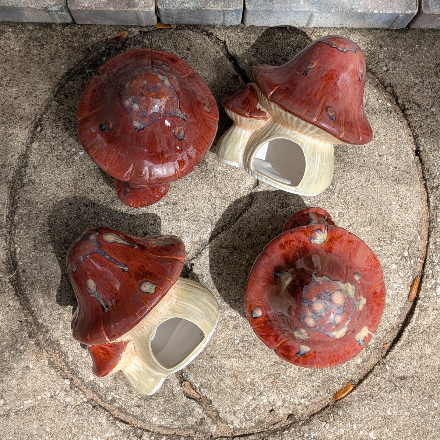 Mushroom Toad Abode