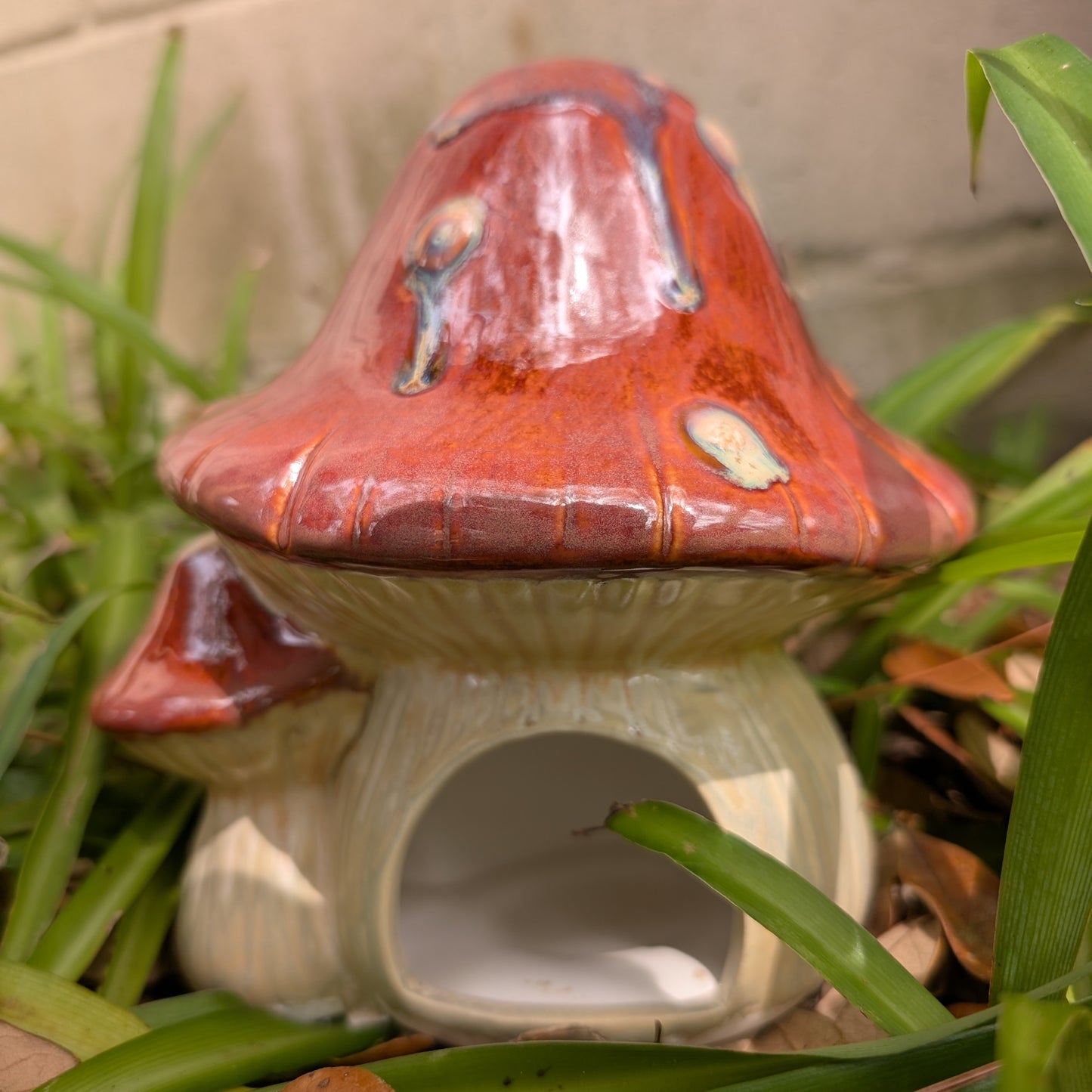 Mushroom Toad Abode
