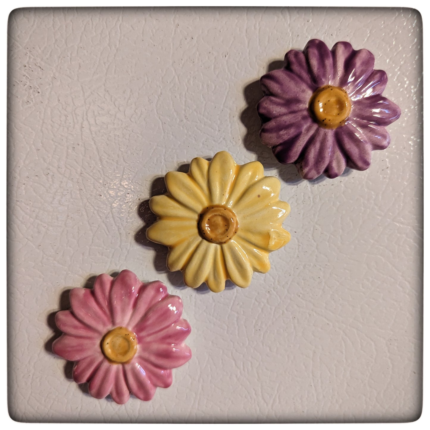 Daisy magnets (set of three)