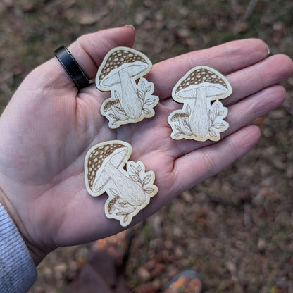 Monthly Mushroom Magnet