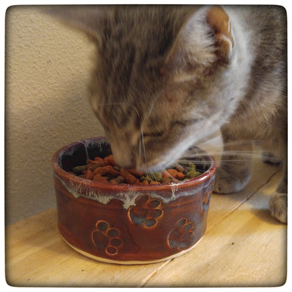 Pet Food bowl