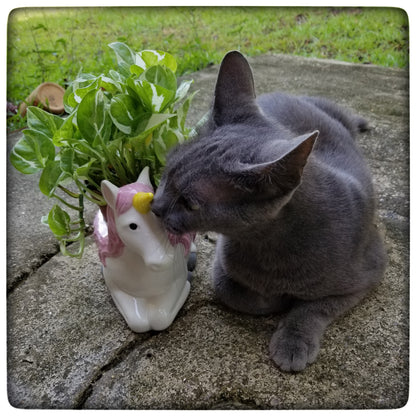 Unicorn planter