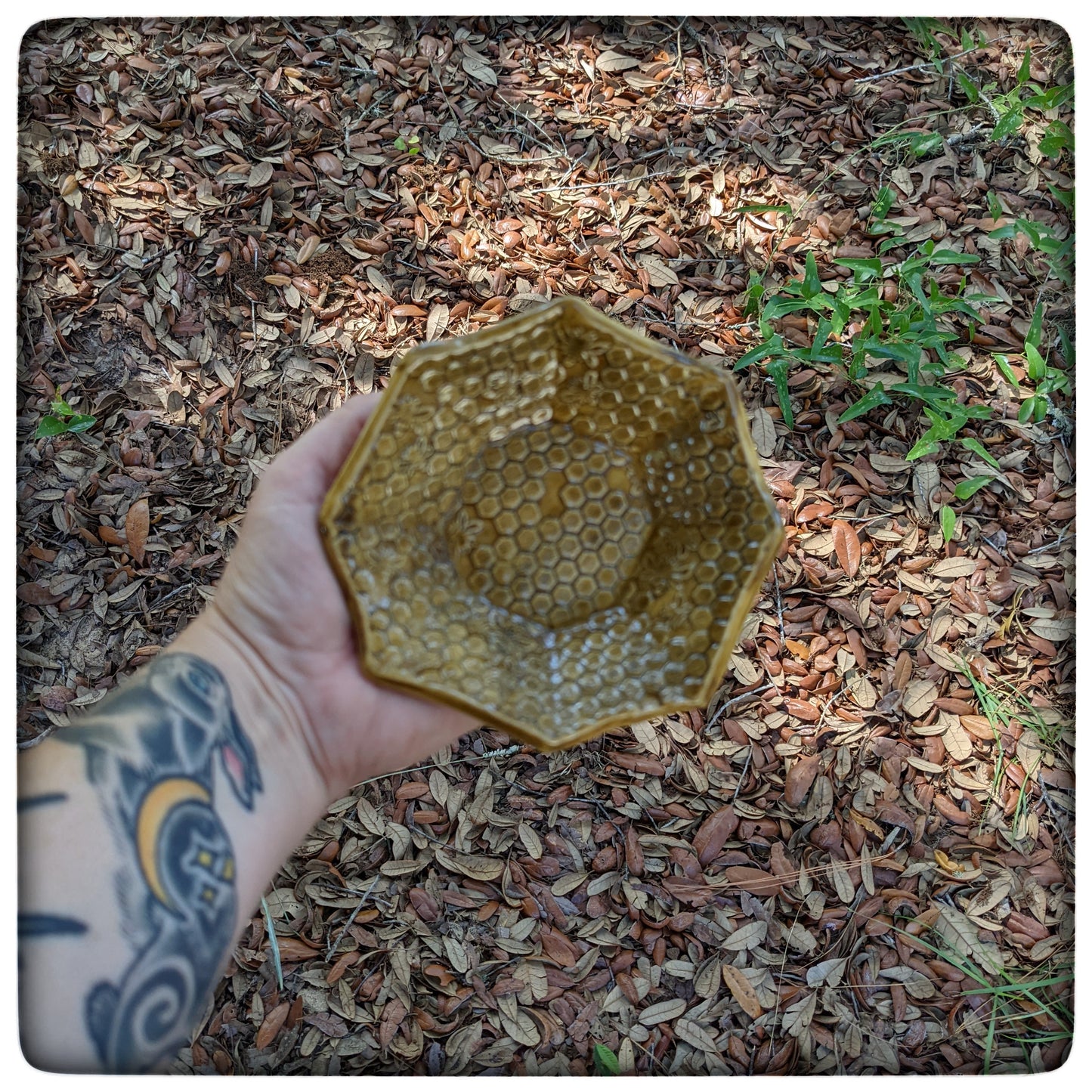 Honeycomb Octagon Dish (4.75 inch)
