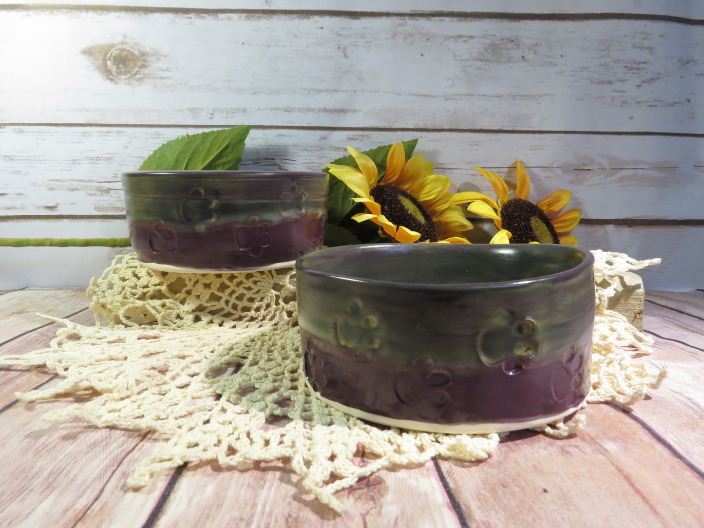 Pet Food bowl