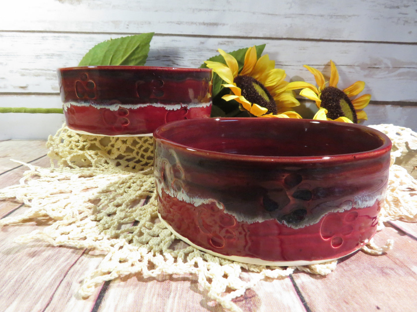 Pet Food bowl