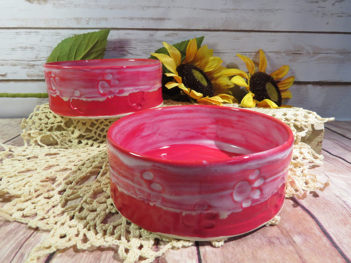 Pet Food bowl