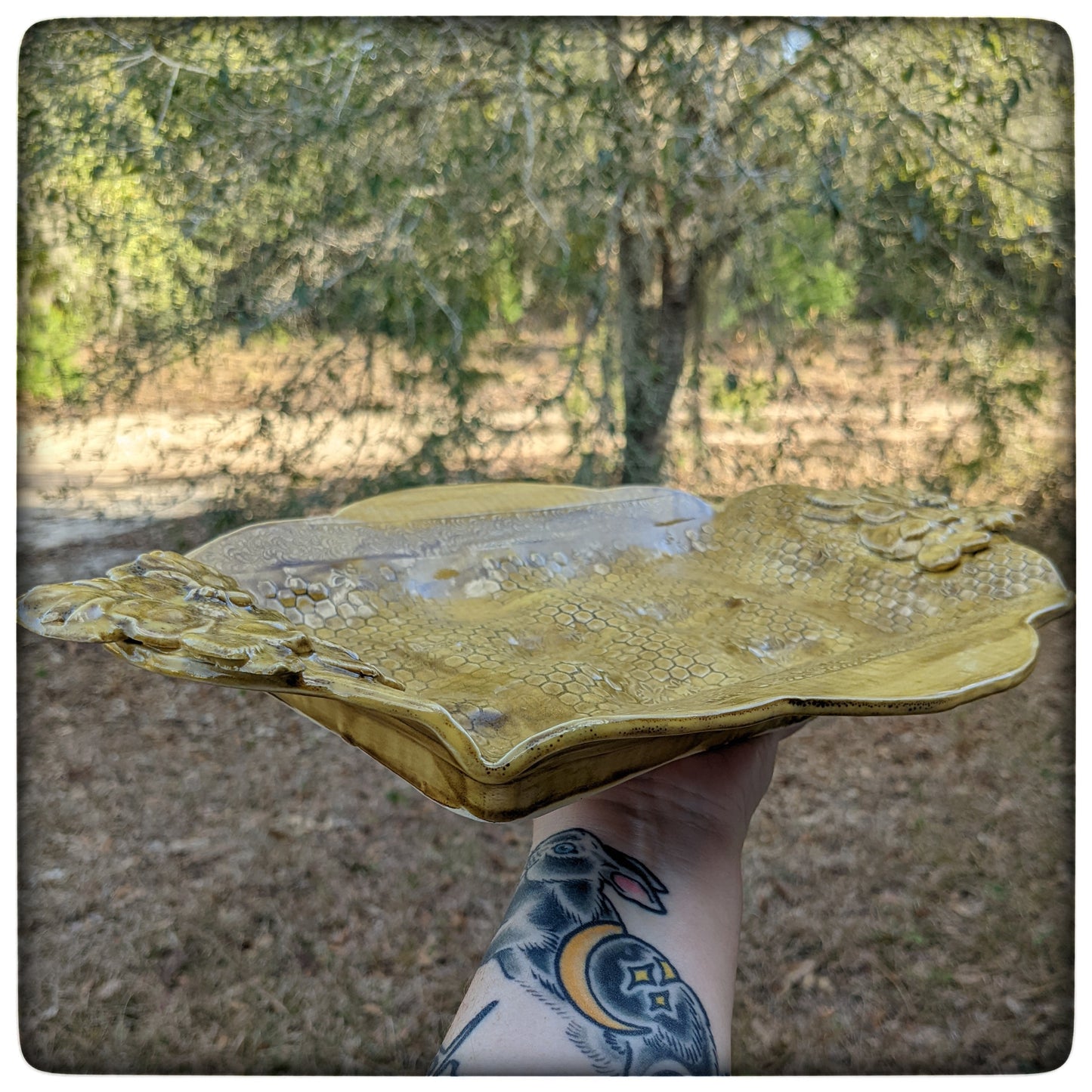 Honeycomb Deviled Egg tray